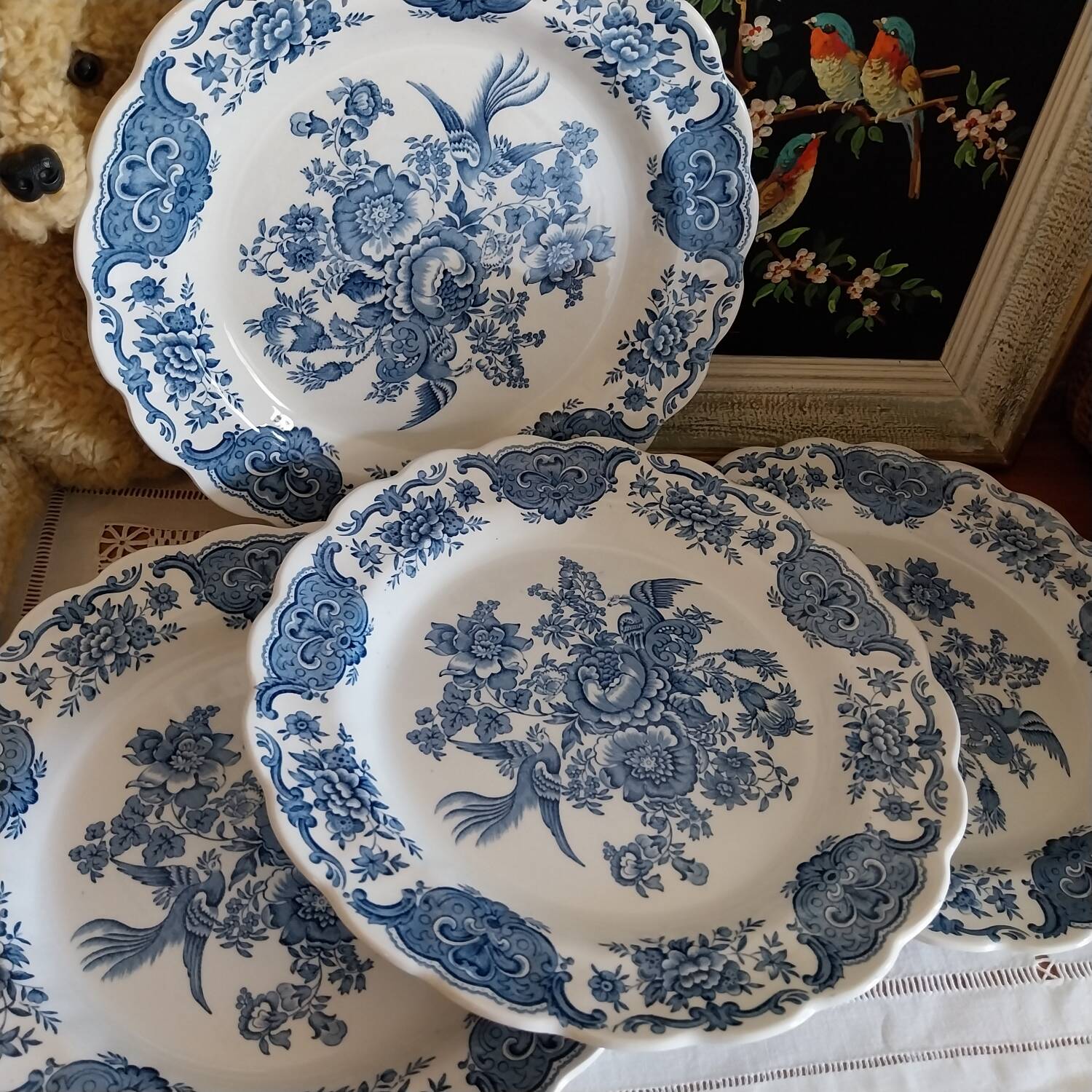 English dinner plates Ridgway of staffordshire Windsor