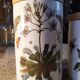 Ceramic jars, floral motif, herbalism, botanics