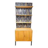 Modular furniture with vintage shelves year 1970