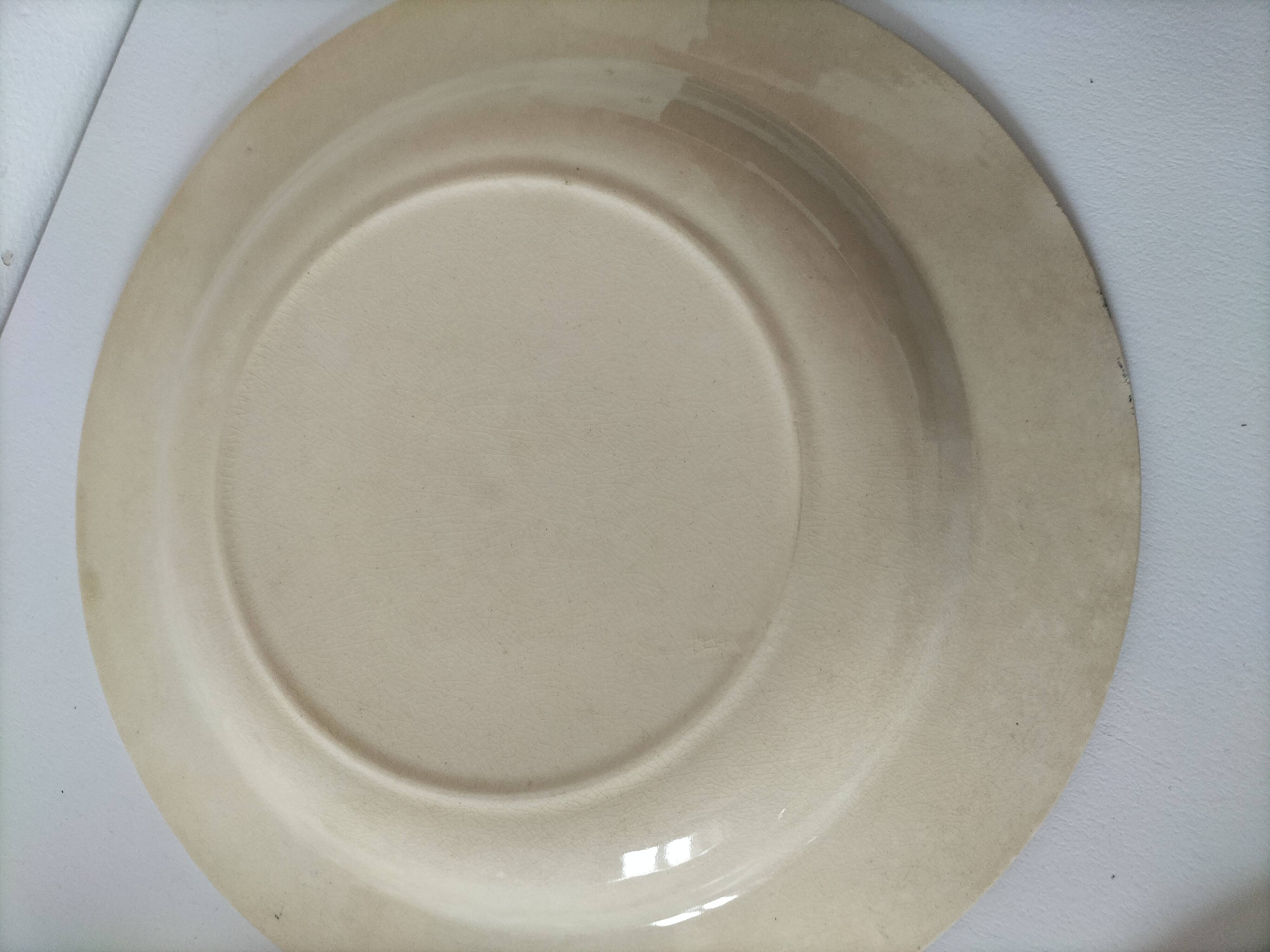 6 old E.C. Salins “Les Épis” ironstone soup plates