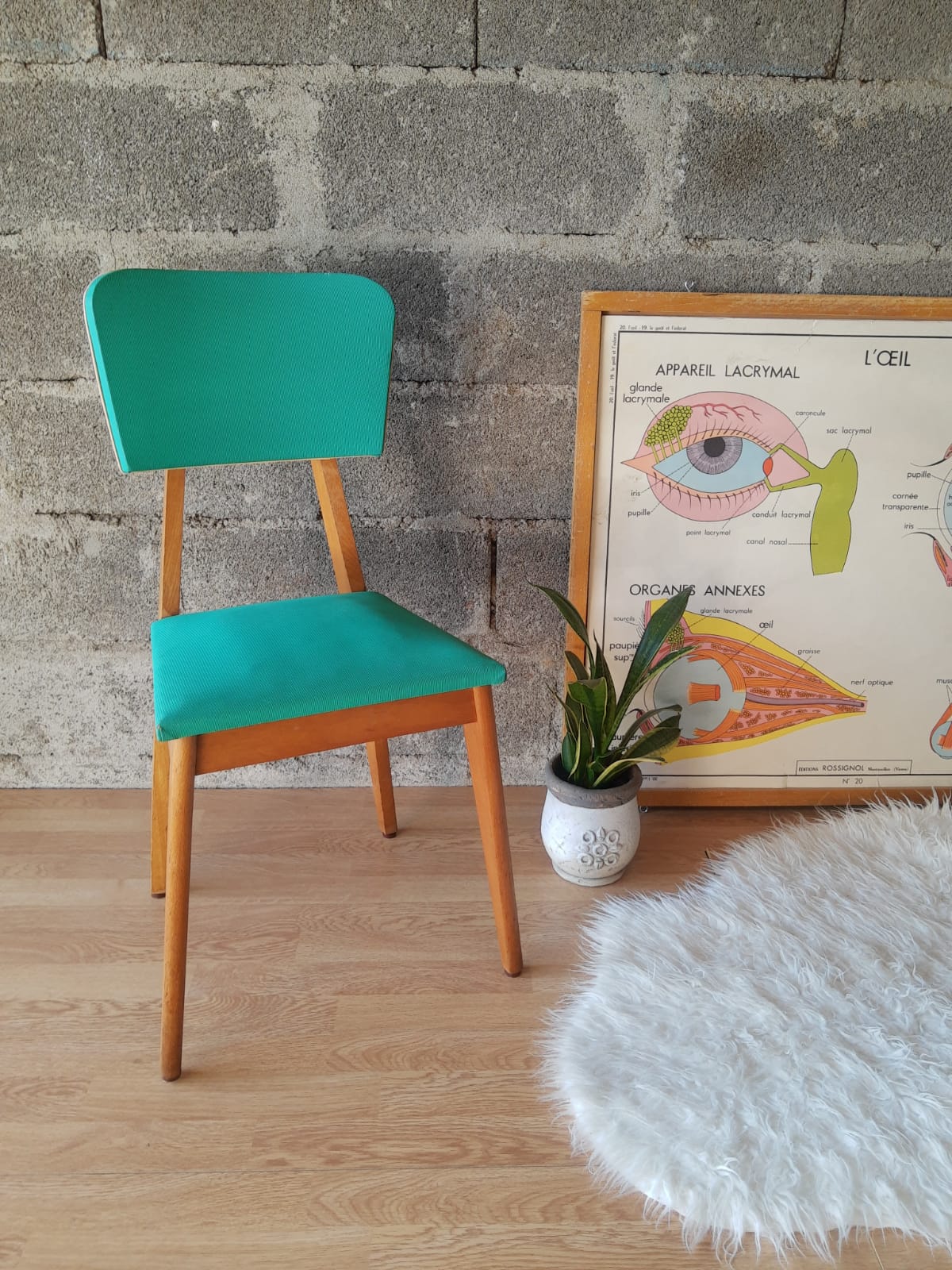 Beech chair compass feet 50s- 60s vinyl - vintage