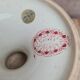 High earthenware compote from Sarreguemines, Ogives model.