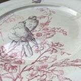 Jules Vieillard flat plate Colibris model