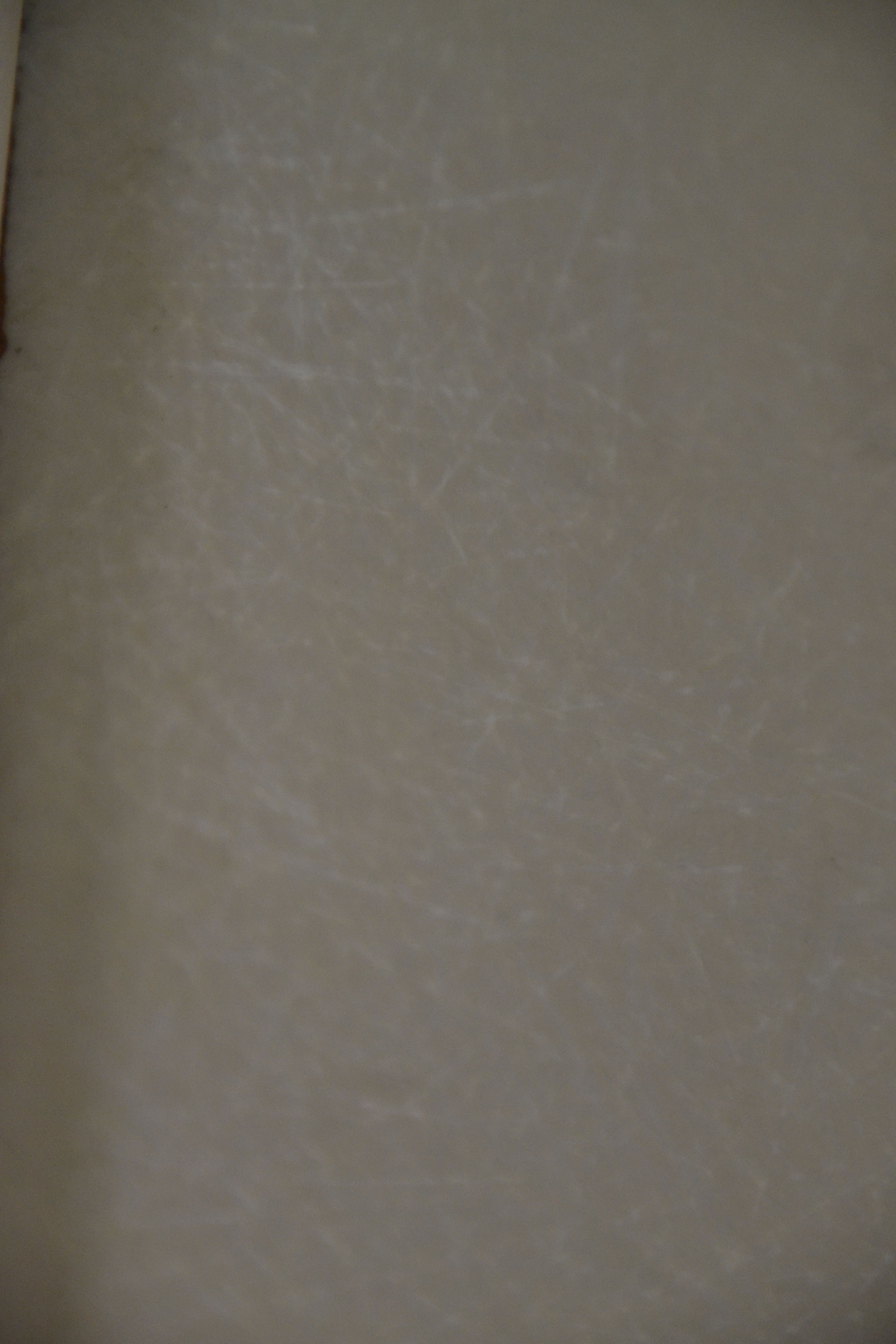 Chair of Charles and Ray Eames edition Herman Miller