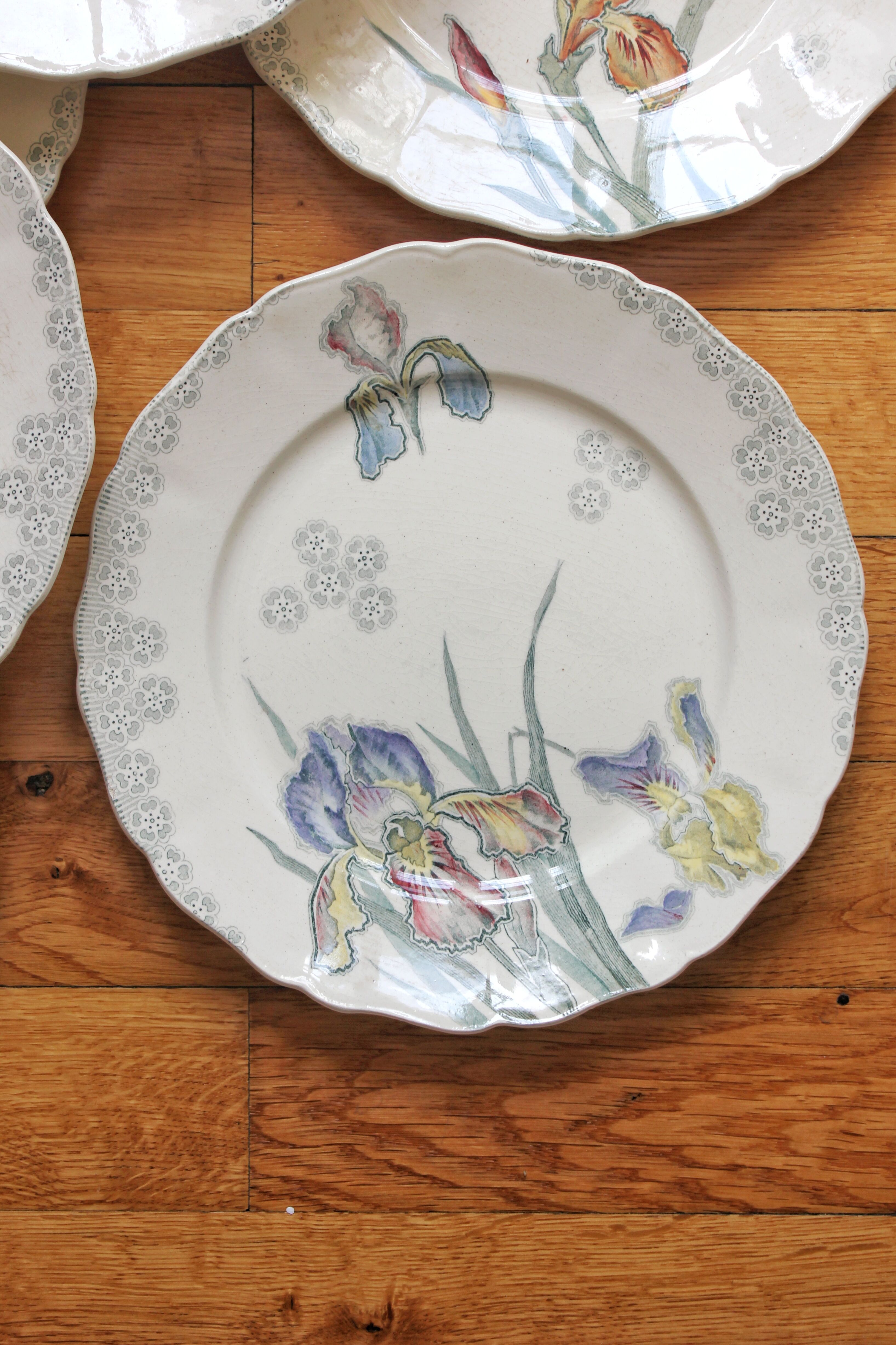 6 large flat plates in polychrome iron earth model "Iris" Choisy-le-Roi