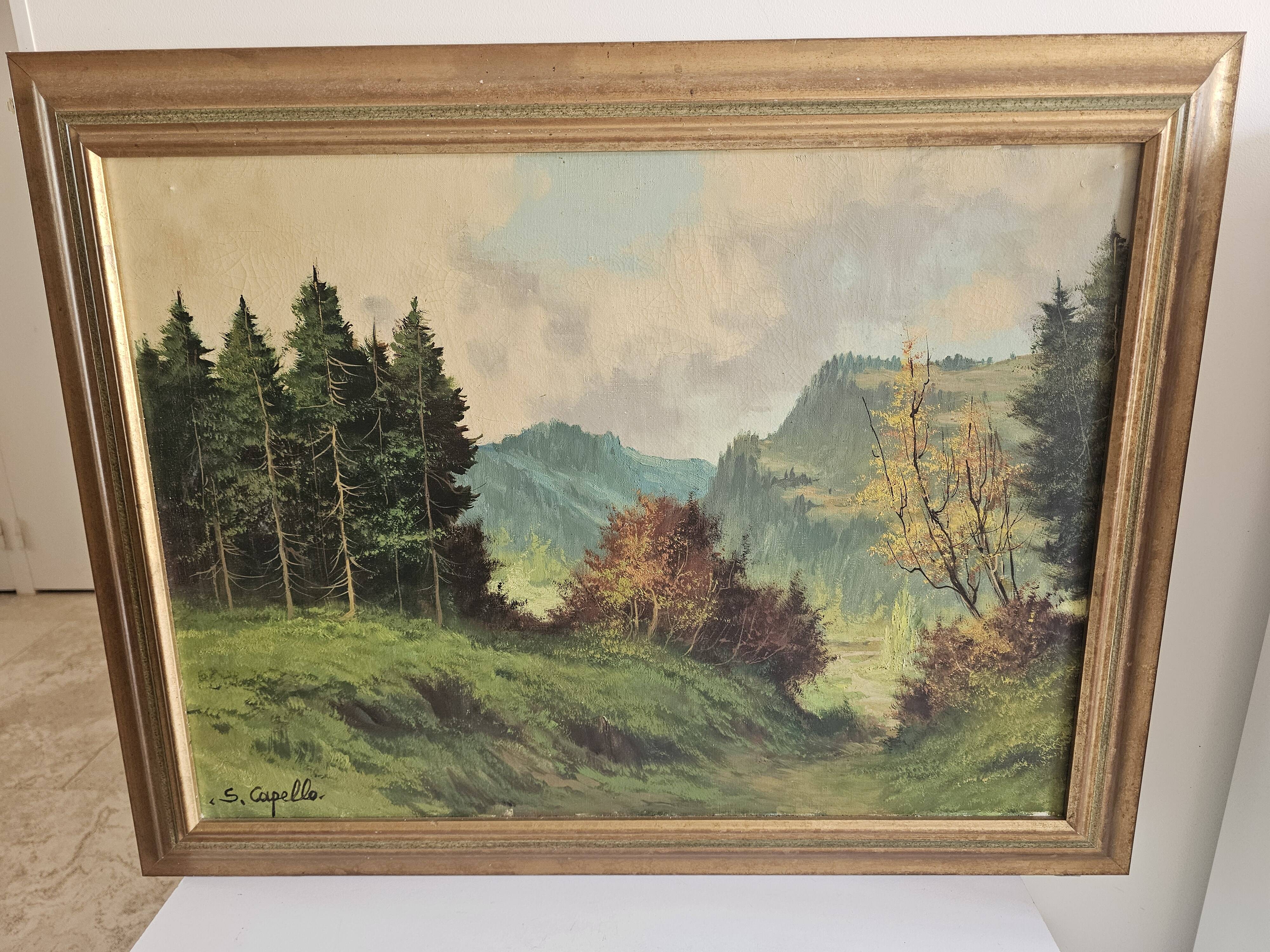 Oil Painting on Canvas Mountain Landscape Forest Vosges Signed S Capello