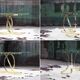 Brass ribbon console table Design Institute of America