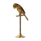 Golden brass parrot 1970