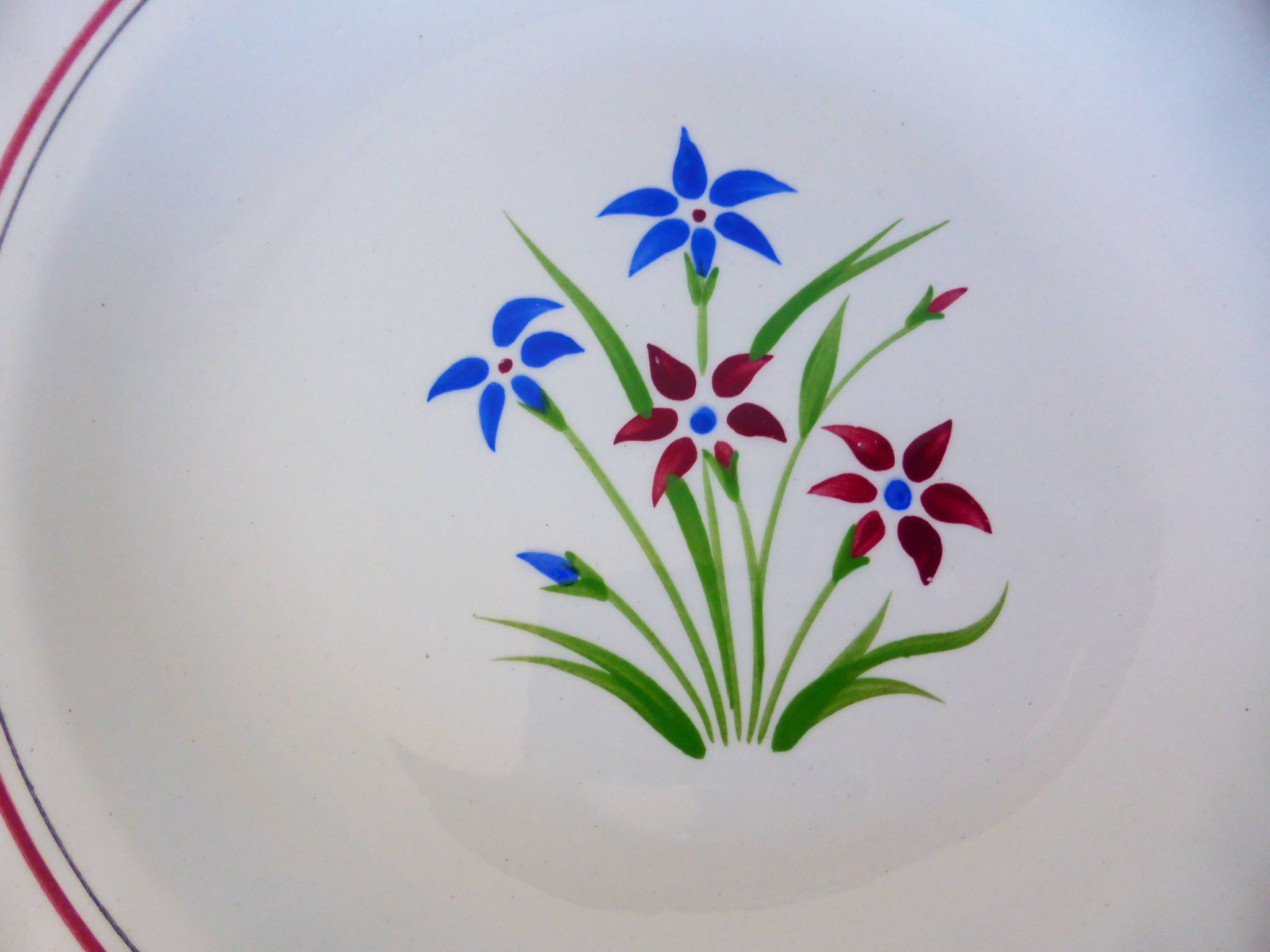 6 assiettes creuses des Salins modèle Lily