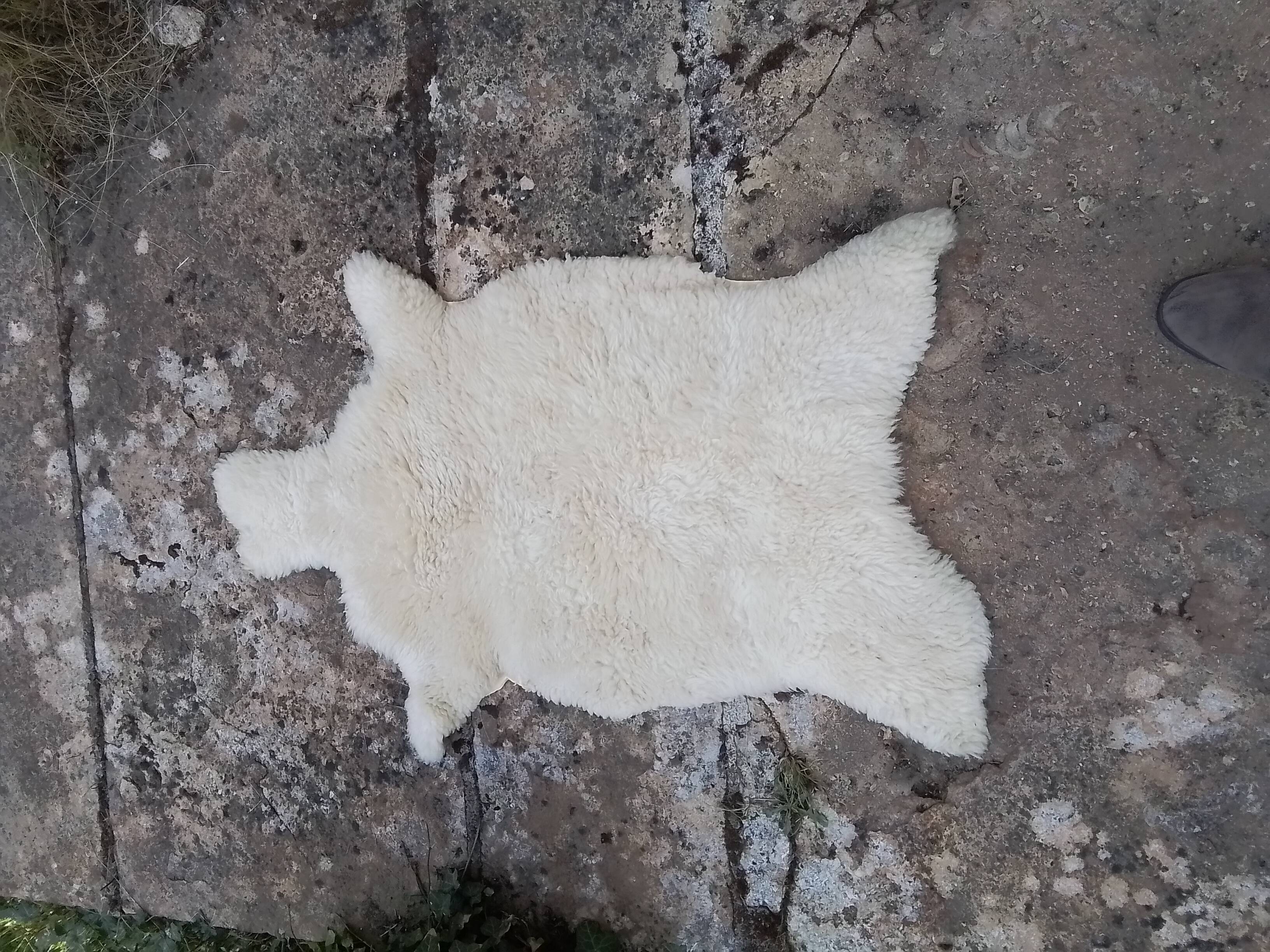 Sheep's skin