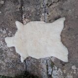 Sheep's skin
