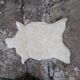 Sheep's skin