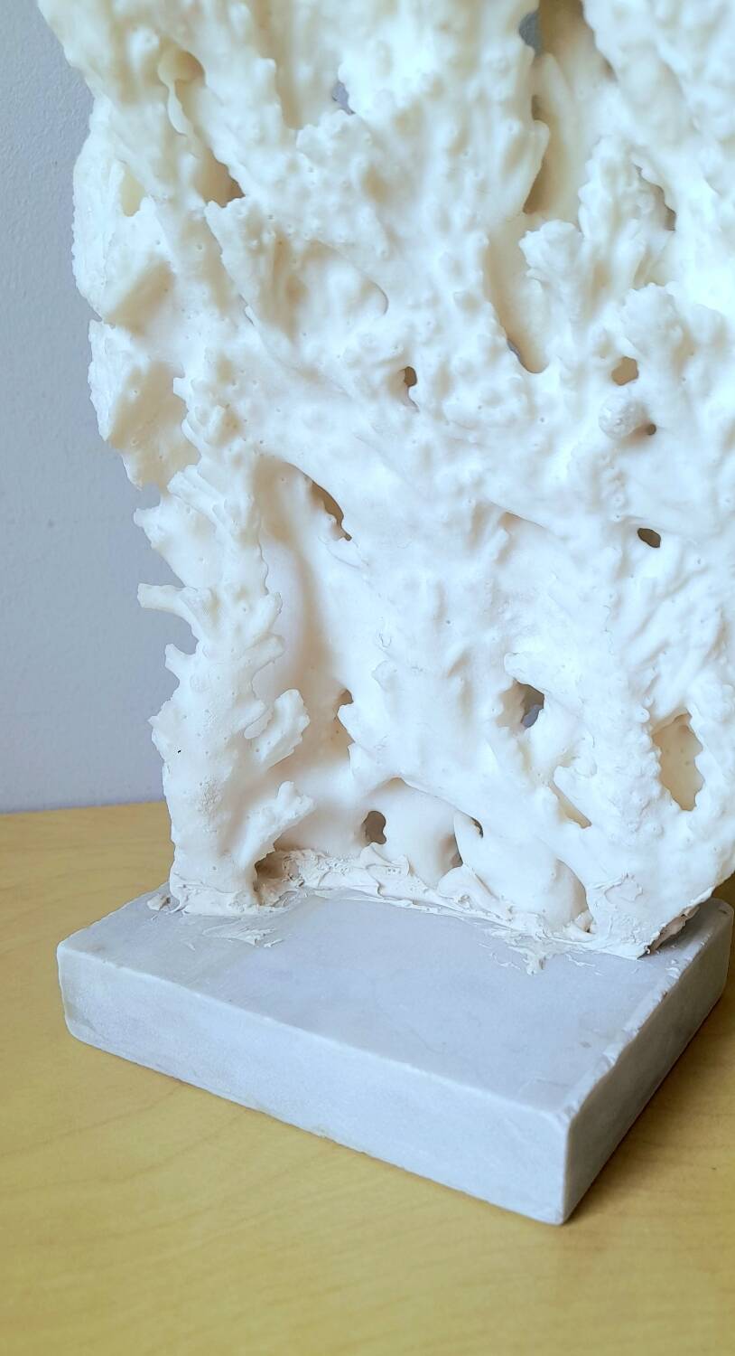 Antique white coral on marble base