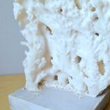 Antique white coral on marble base
