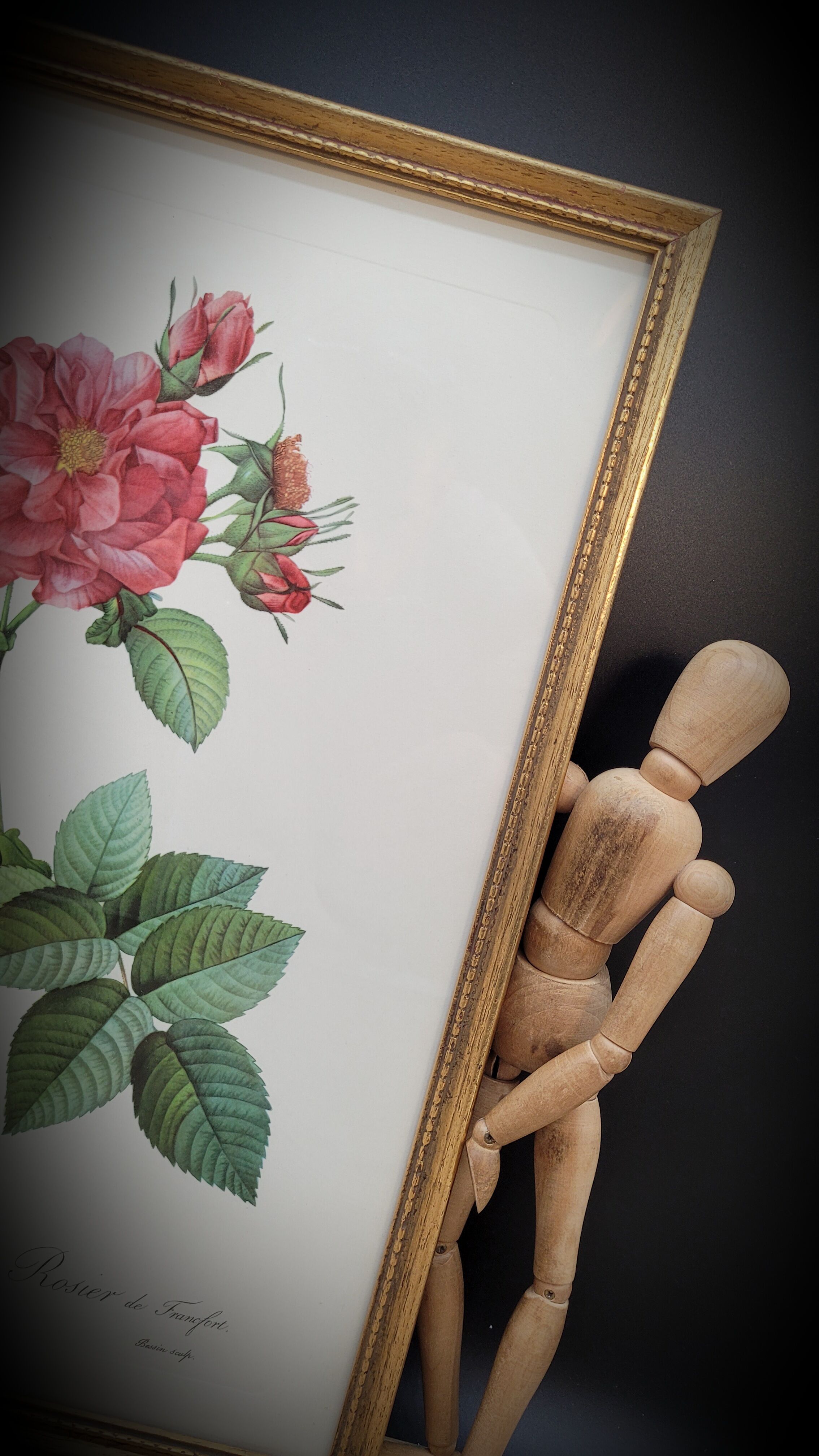 Lithograph Rosier Frankfurt