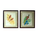 Antique asian painting on rice paper in high quality wood frames, c 1910s