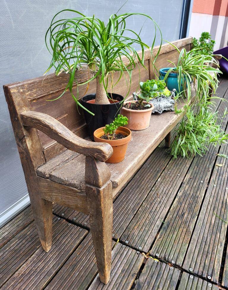 19th-century church pew, 245 cm long
