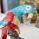 Nymphenburg porcelain parrot