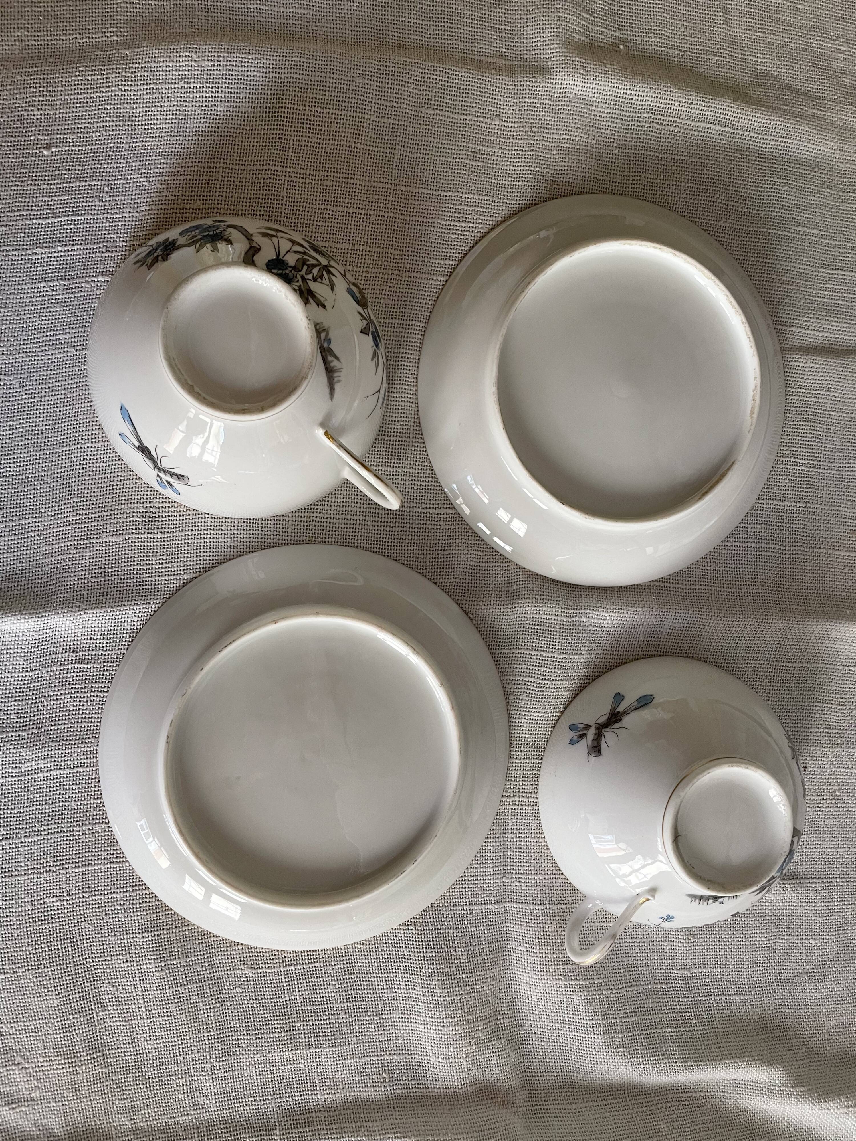 Fine porcelain tea cups