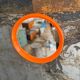 Miroir rond orange
