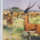Antilope, grille éducatif, 1891