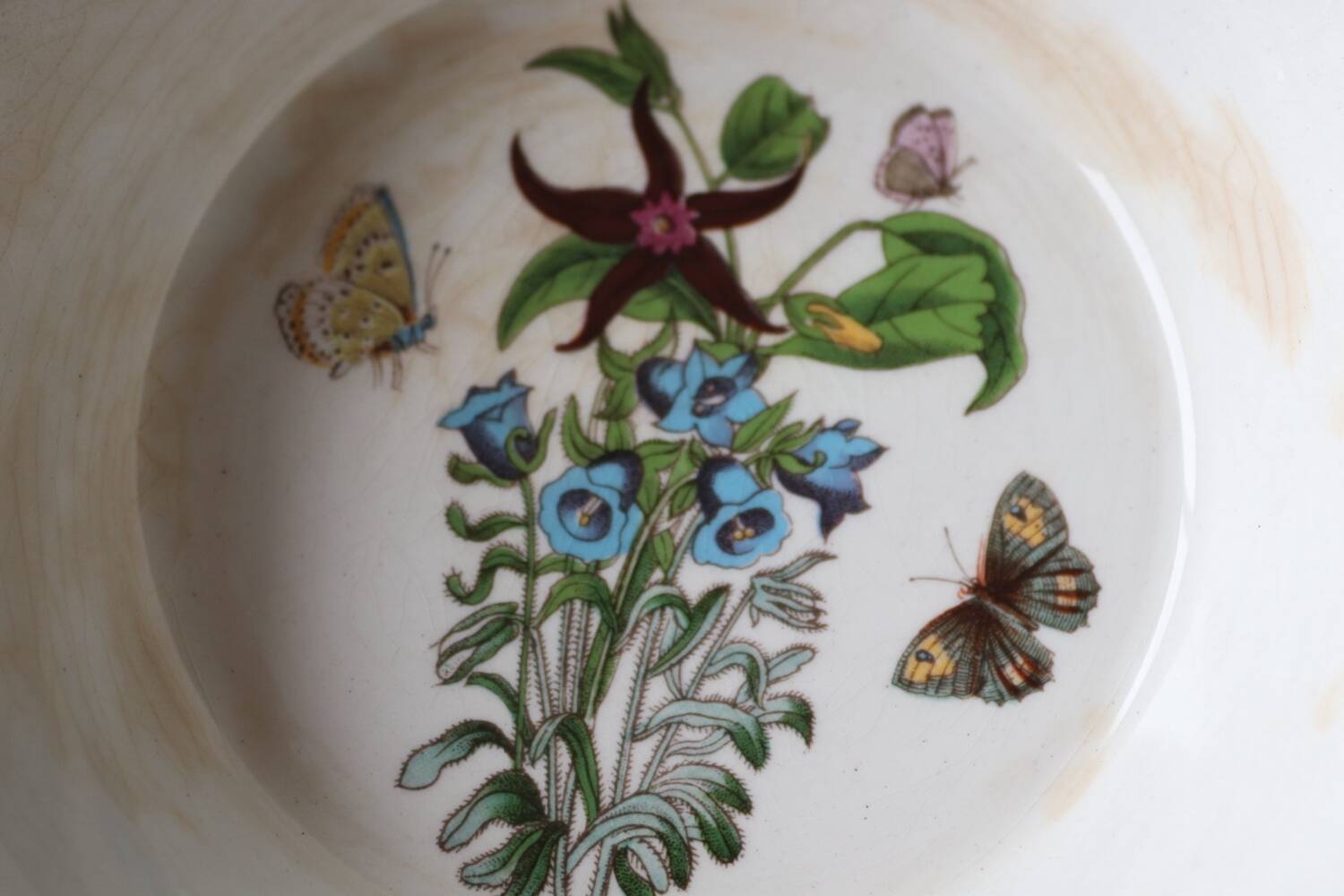 2 Vintage Bowls Botanical Garden – Portmeirion