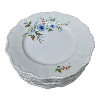 Lot de 7 assiettes porcelaine Seltmann Weiden Bavaria