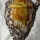 Vase fat lava