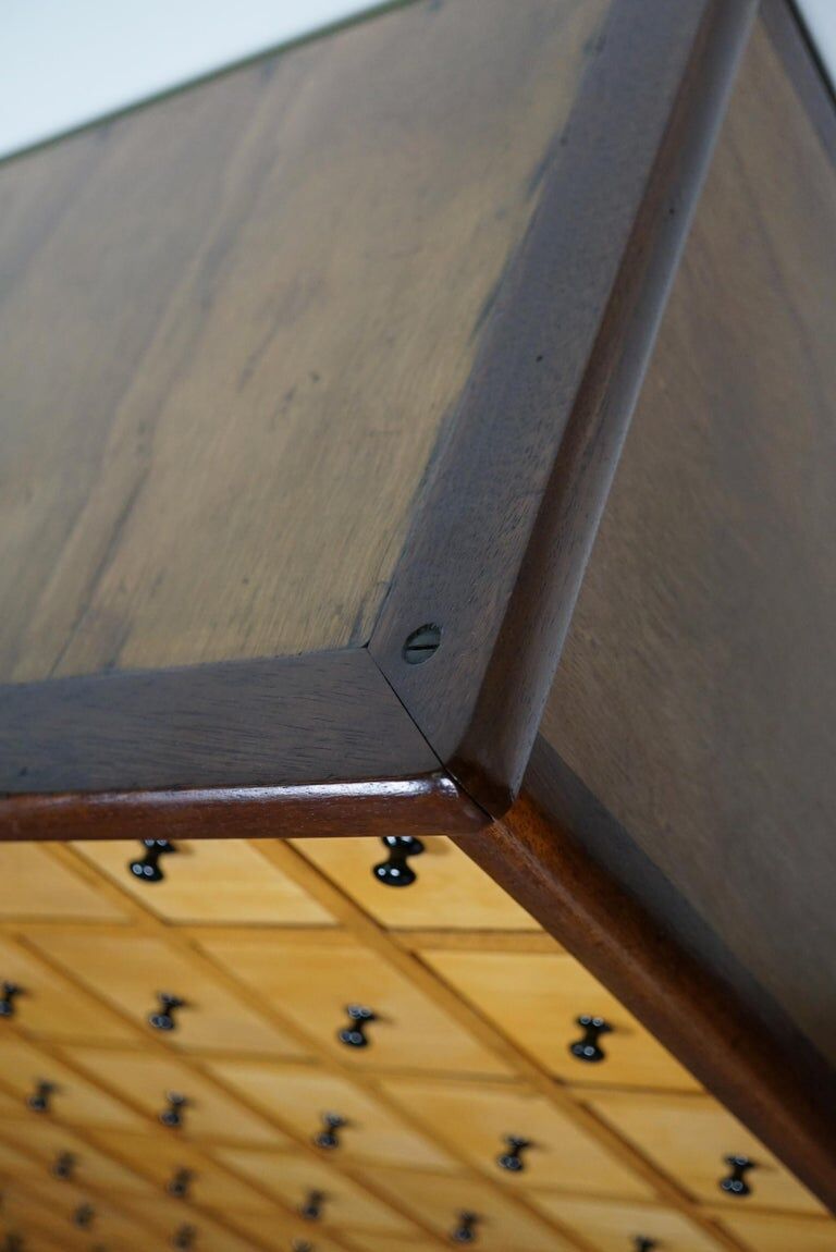 Dutch industrial apothecary's cabinet of the 20th century