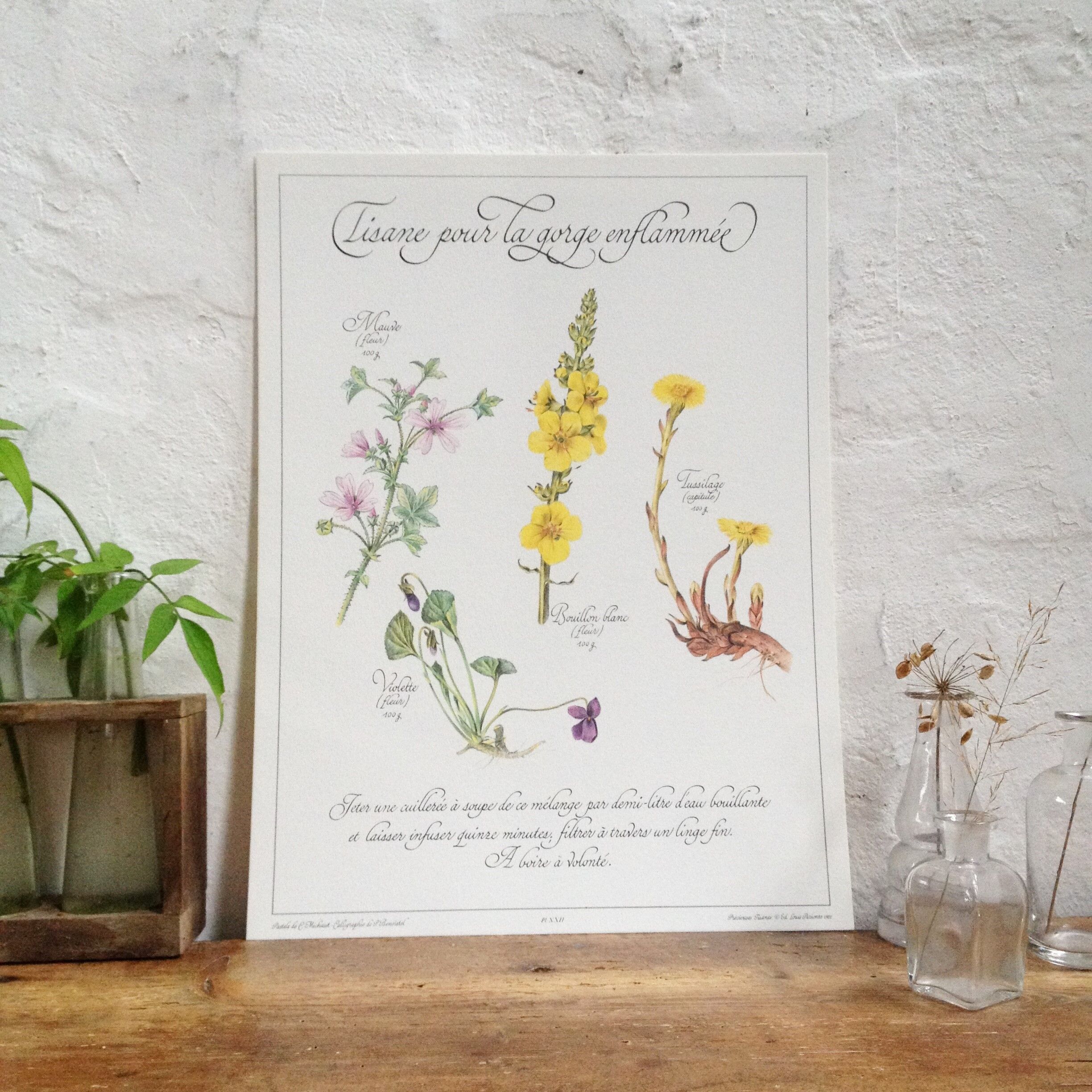 Botanical plate tisane