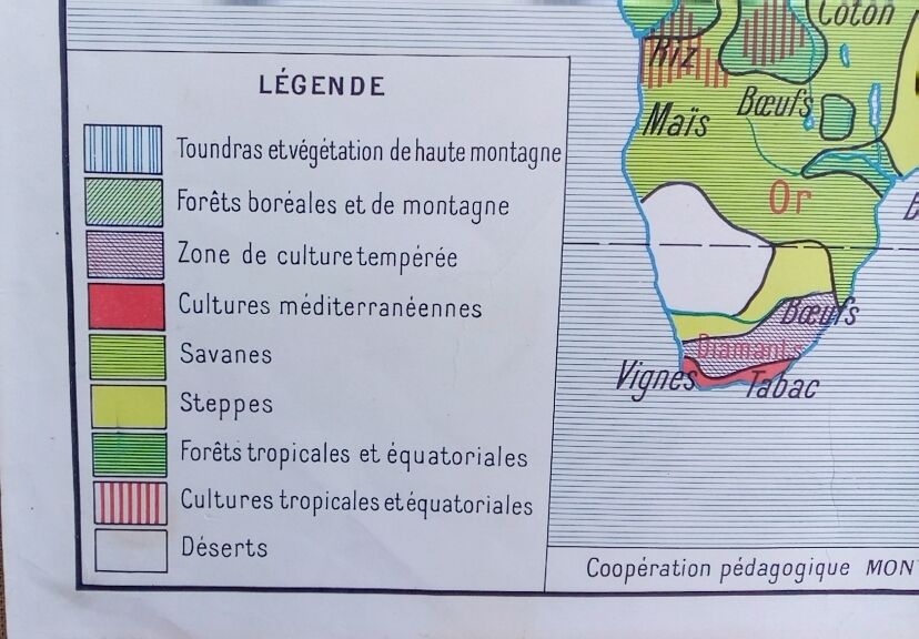 School poster wall map rossignol montmorillon le monde vegetation 1-2