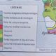 Affiche scolaire carte murale rossignol montmorillon le monde vegetation 1-2