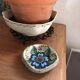 Cup lava foam with blue flower.