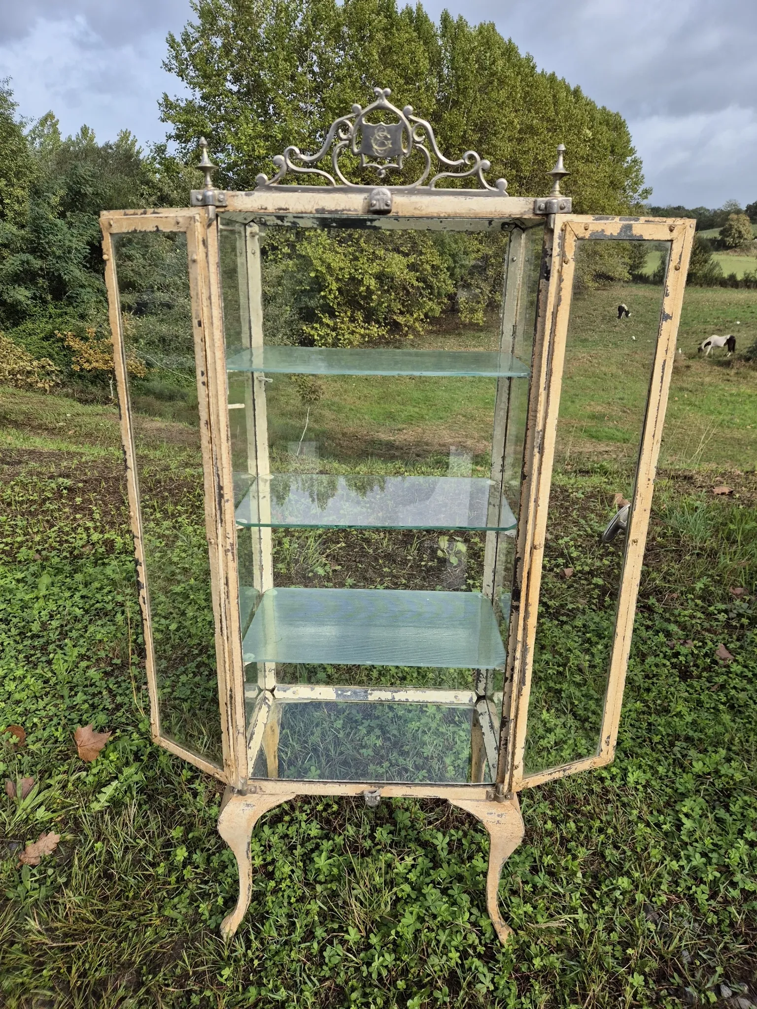 Ancienne vitrine de chirurgien