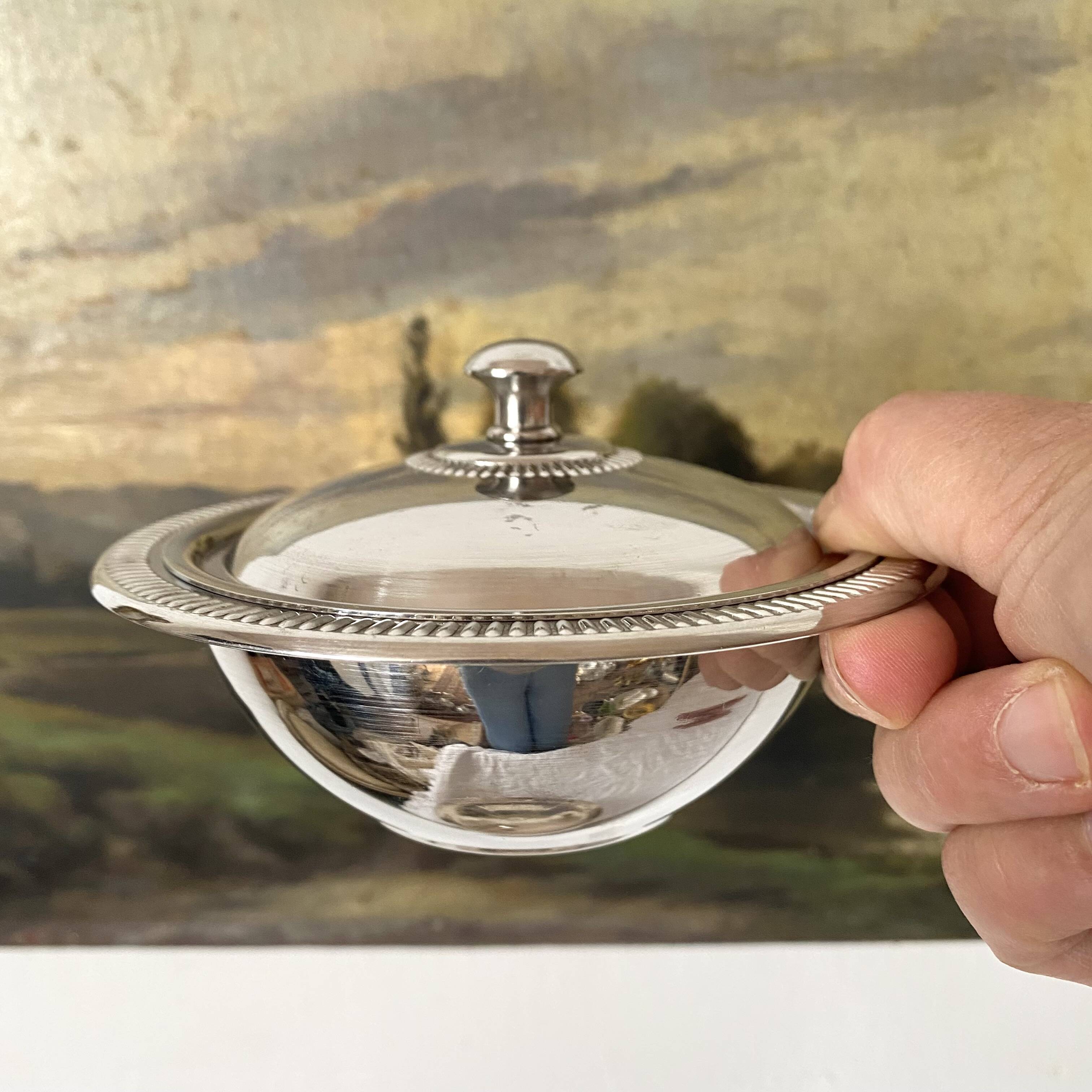 Stainless steel sugar bowl