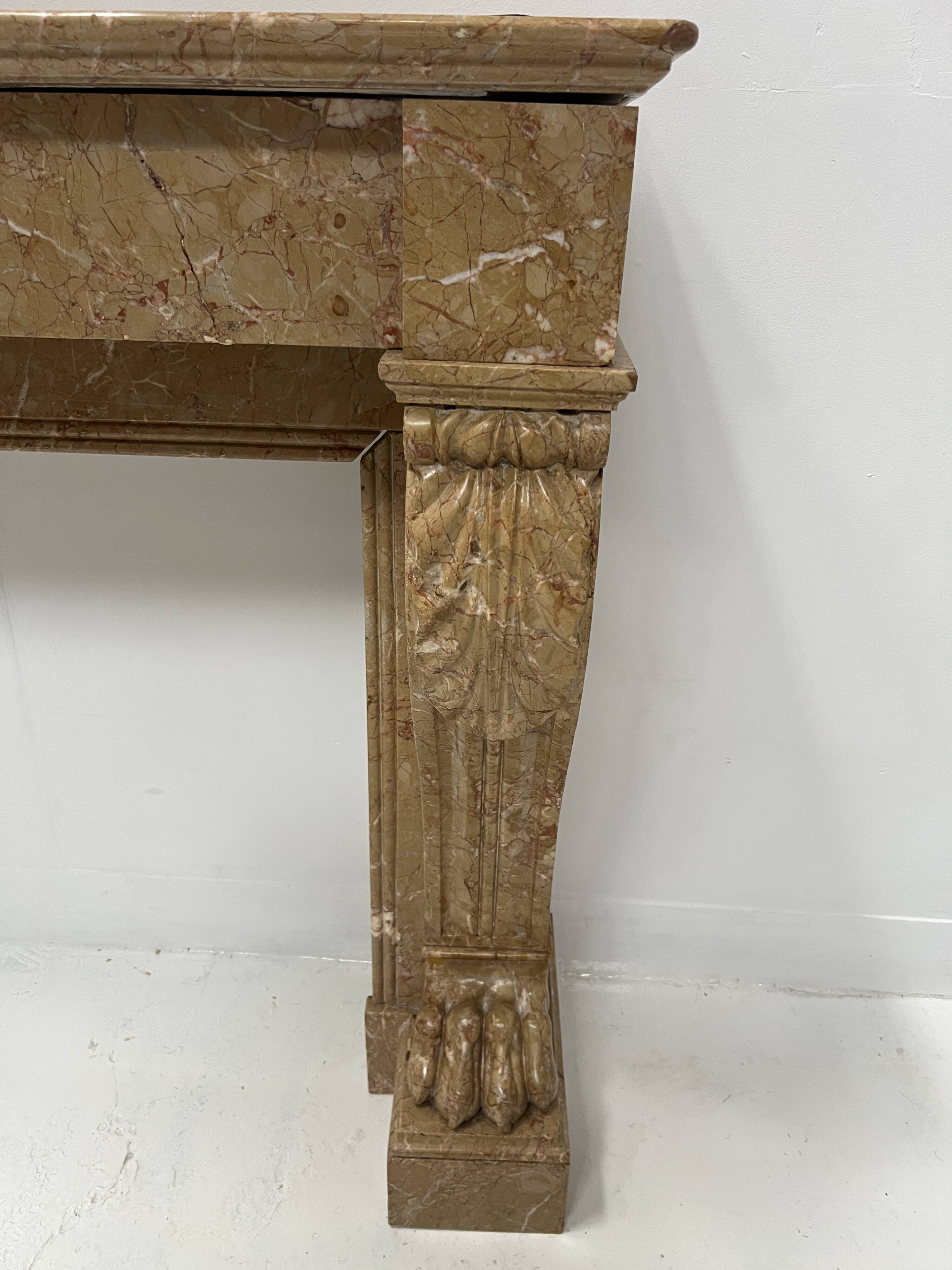 Napoleon III fireplace with claw feet in speckled marble, 19th century.