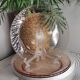 Rosaline flat plates