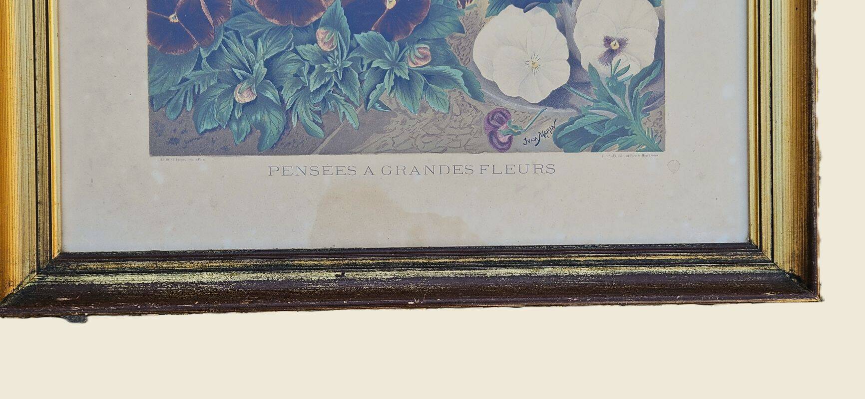 Julia Marin - Impression Thoughts on Large Flowers Around 1900