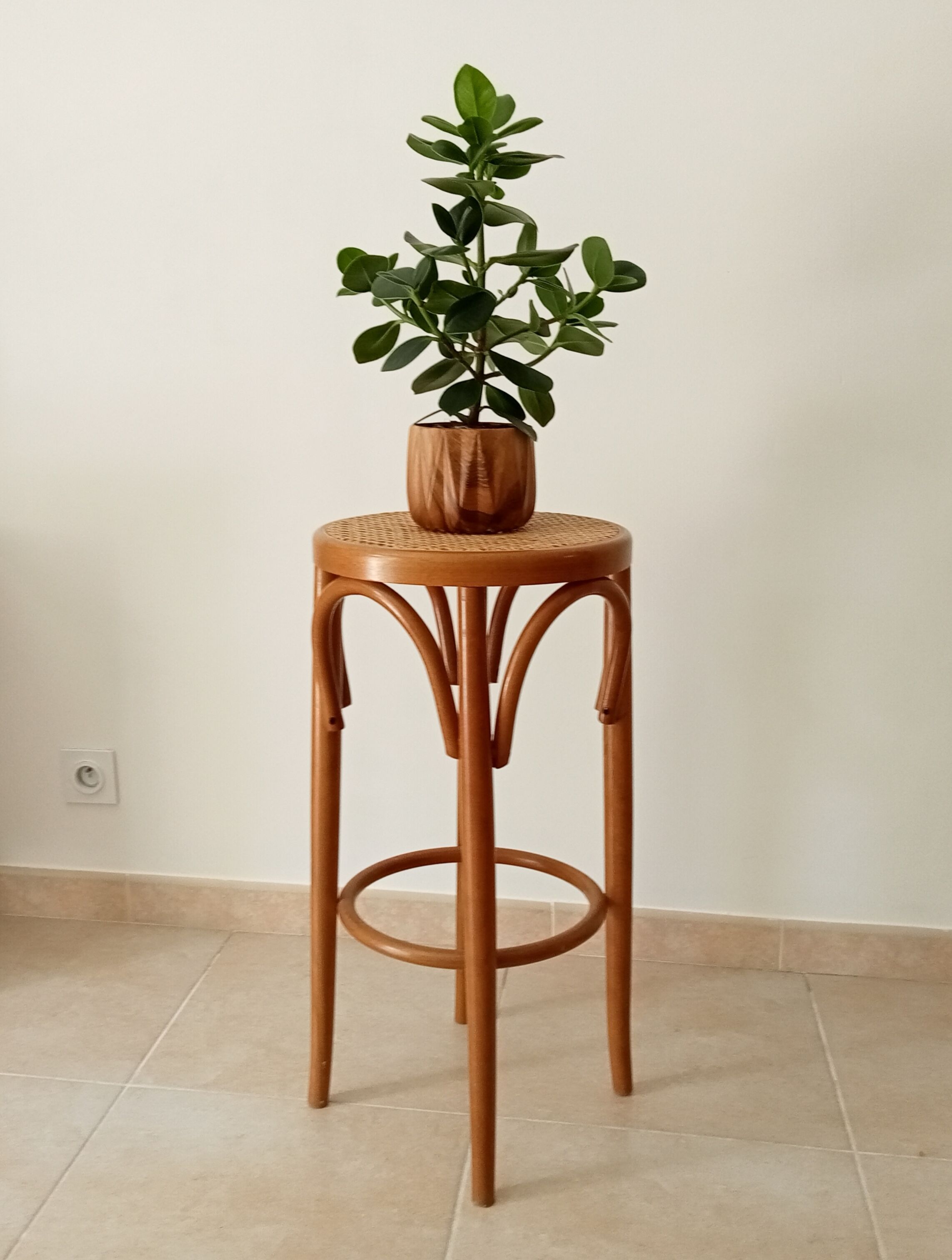 Vintage curved wooden high stool and tanned seat