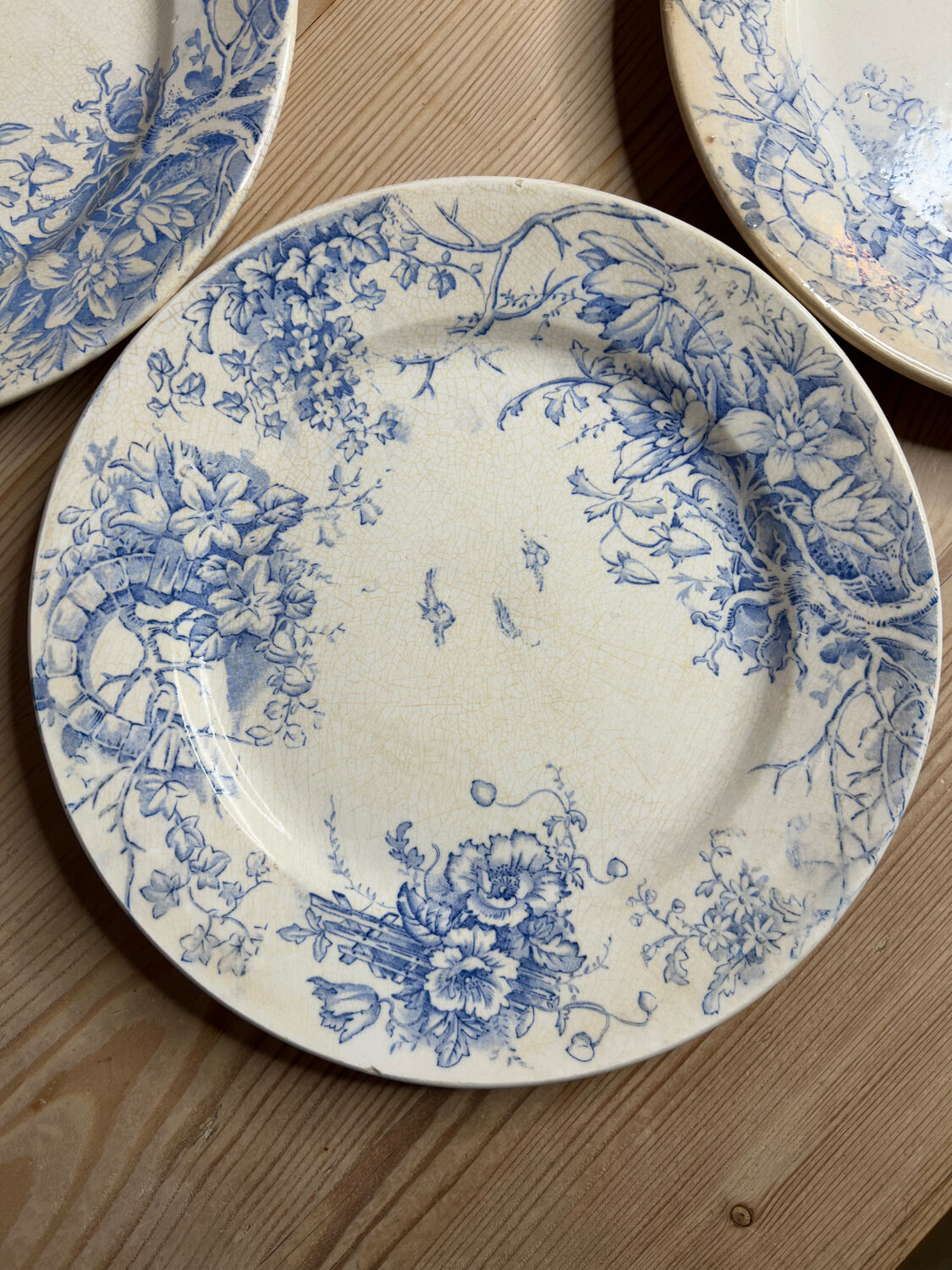 Set of 6 vintage dinner plates