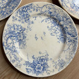 Set of 6 vintage dinner plates