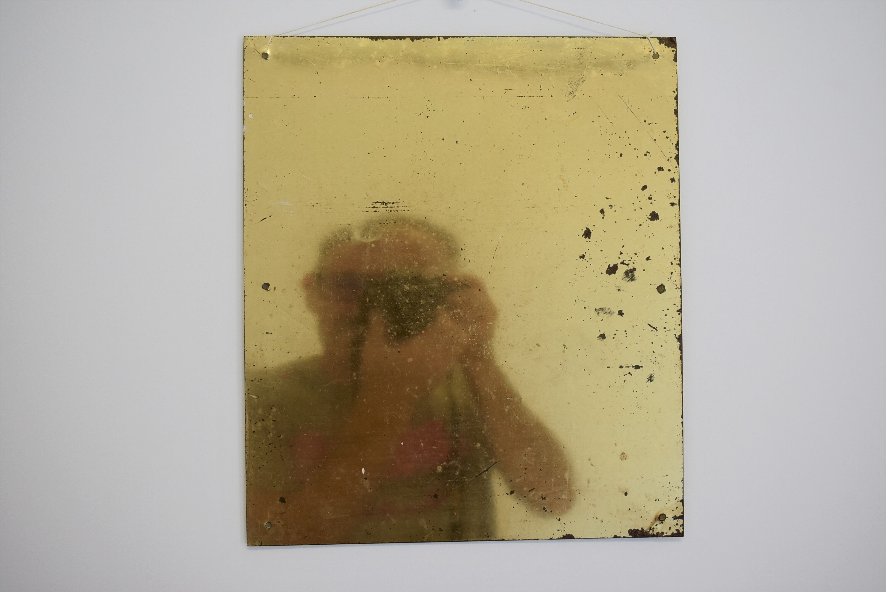 Metal plate parsley, toutou parking