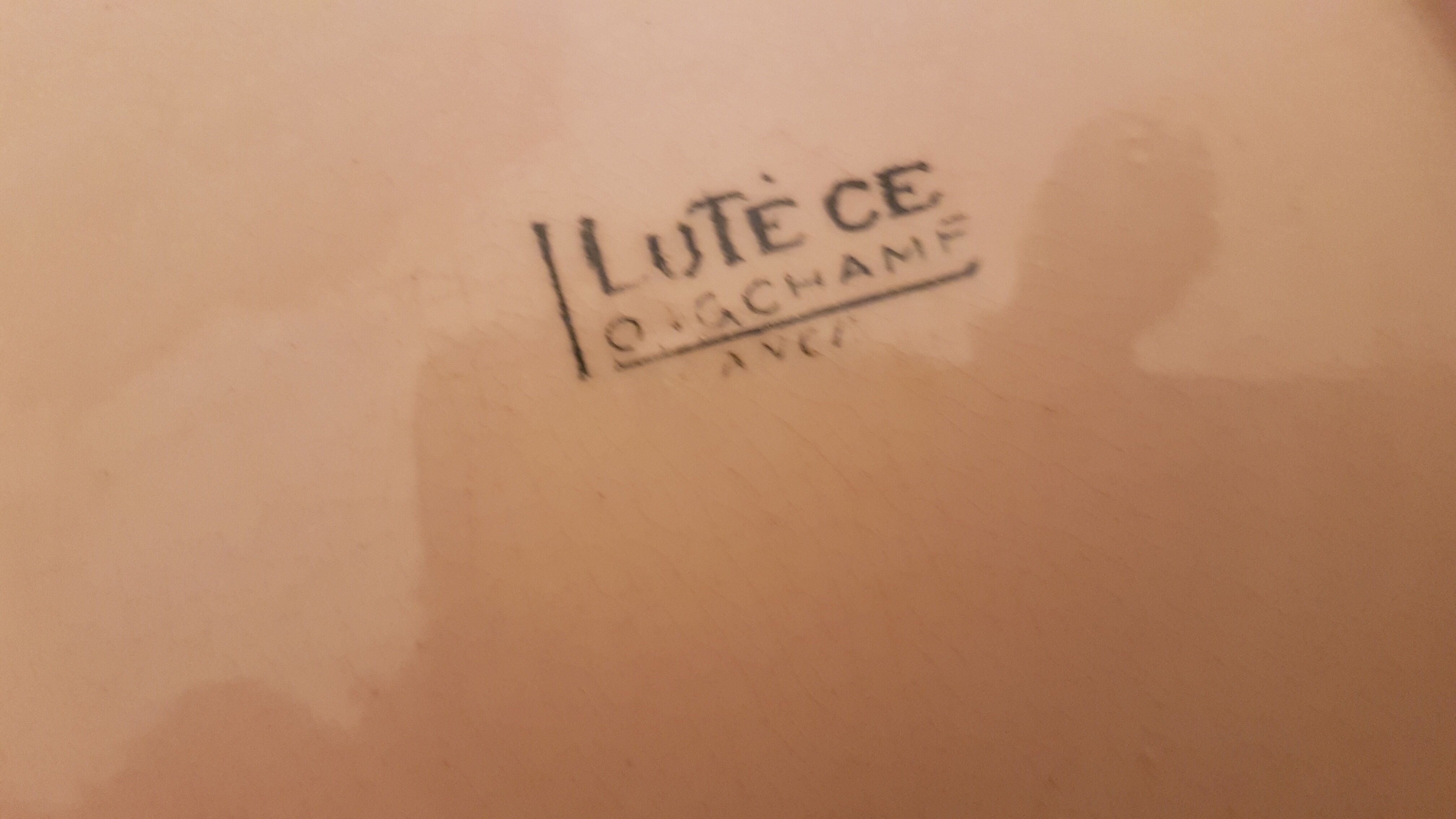 Soupière and her dish