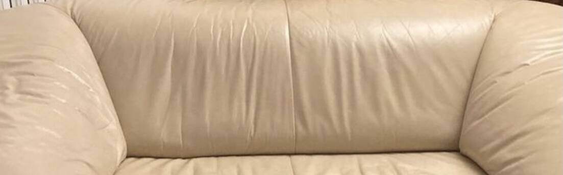Canapé en cuir 2 places