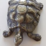 Tortue