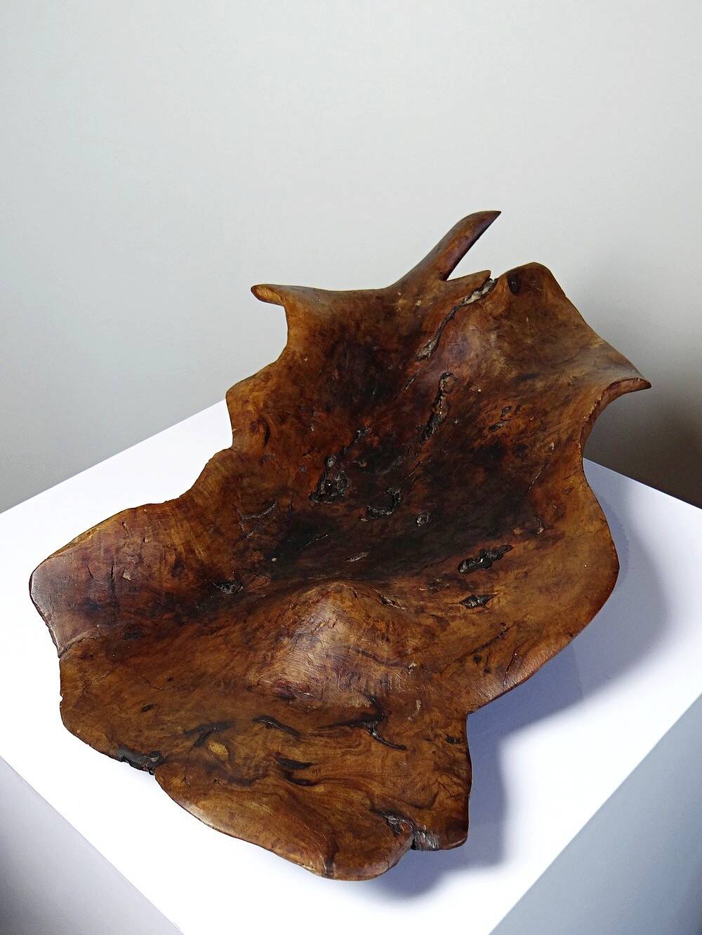 Large monoxyl bowl in dark raw olive wood from the 50s