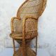 Children's peacock armchair