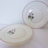 4 flat plates from Salins