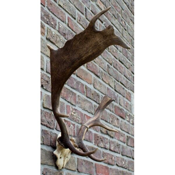 Decorative suede wood