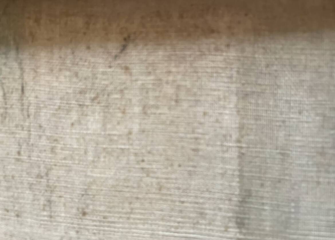 Oil on canvas Vendée landscape